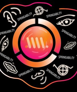 Boek Toegankelijkheidstool SpringAbility van René van Maanen